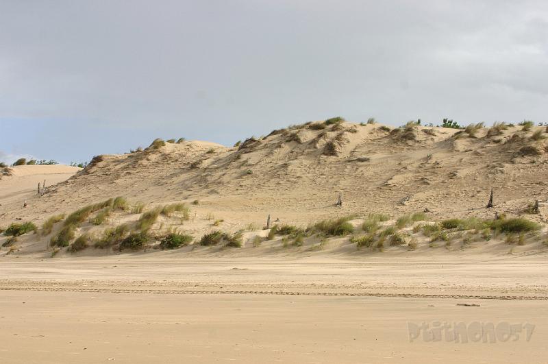 15-08-2008 537.jpg